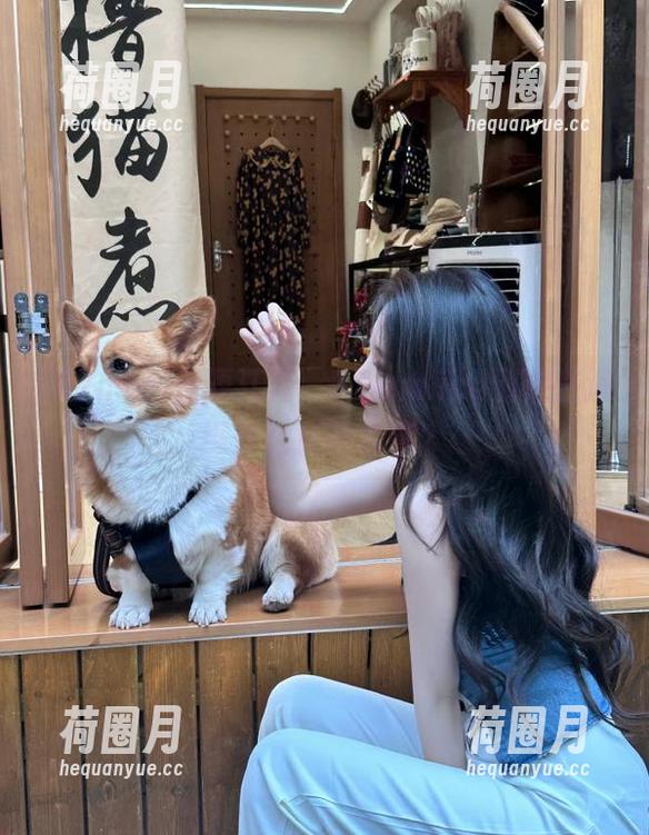 资源江湖，52mm.icu到底在演绎什么样的故事？