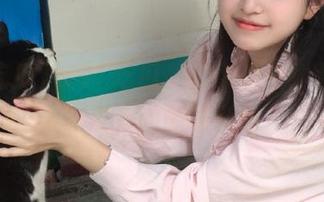在91吃瓜，永久的在线互动是大家最爱的调味料吗？