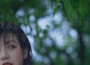 加入吃瓜大本营，登录时你甚至可以和瓜聊聊心事！