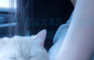 吃瓜大本营，直达你的开心果槽，吃嘛嘛香！