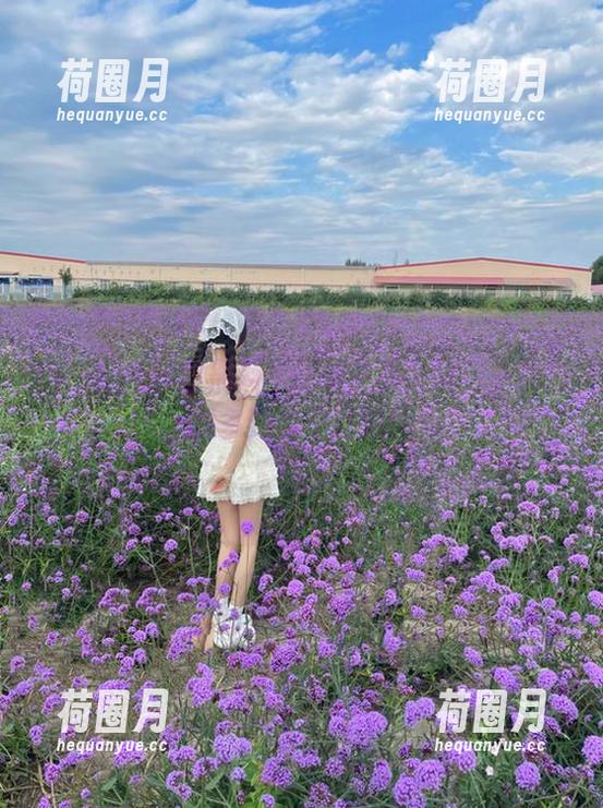 黑料不打烊首页上线，下载方式多到数不过来！