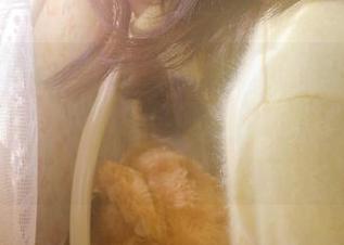 听说登录黑料不打烊668su，传送门后是怎样的风景？我心里好奇得要命！