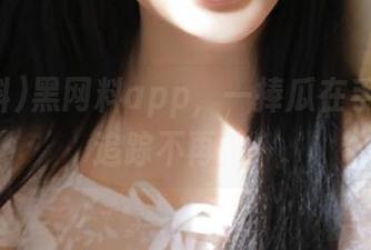 黑网料app，一捧瓜在手，人生追踪不再愁！